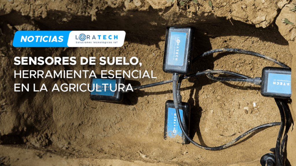 Sensores de suelo: la guía definitiva para la agricultura de precisión