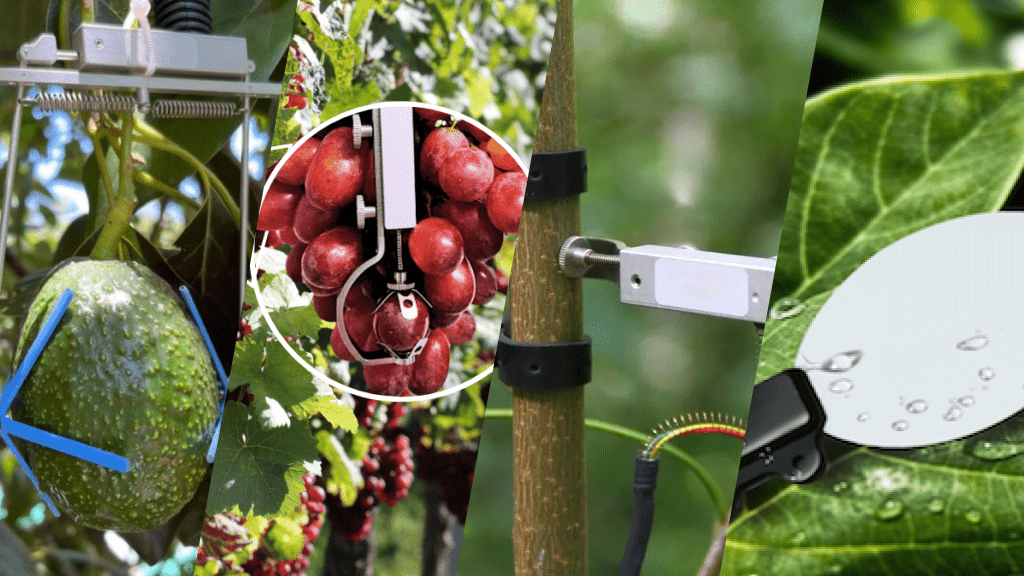 Este sensor detecta la presencia de agua o rocío sobre la superficie foliar. Es crucial para predecir el riesgo de enfermedades fúngicas (hongos) y bacterias, permitiendo aplicar tratamientos preventivos solo cuando es estrictamente necesario.