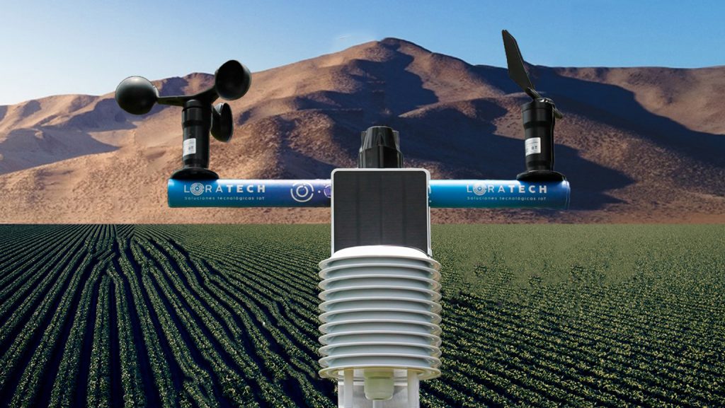 Nuestros sensores monitorean el ambiente de forma continua para identificar condiciones de estrés térmico o humedad excesiva. Estos datos son cruciales para entender el comportamiento de la transpiración de la planta y prevenir enfermedades fúngicas que prosperan en microclimas específicos.