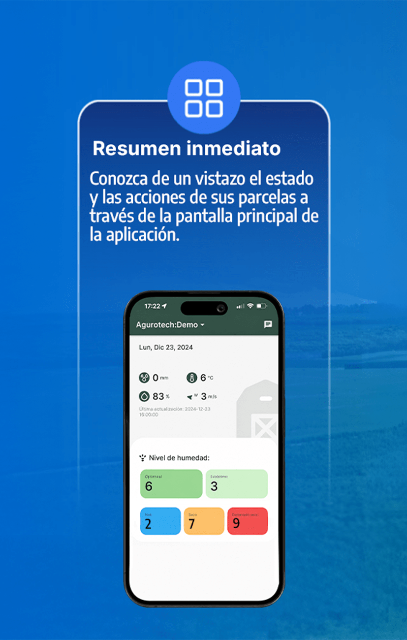 CARRUSEL WEB 1