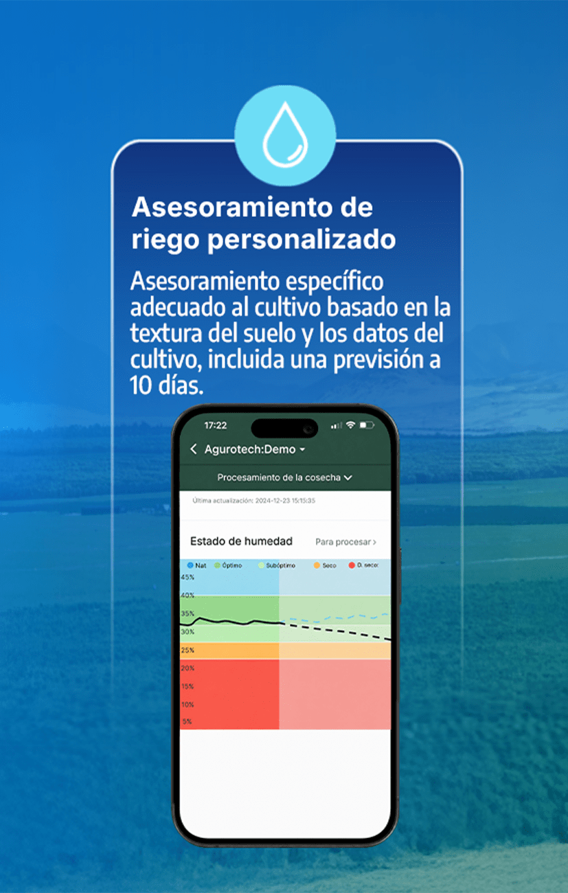 CARRUSEL WEB 2