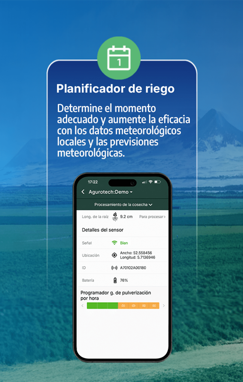CARRUSEL WEB 3