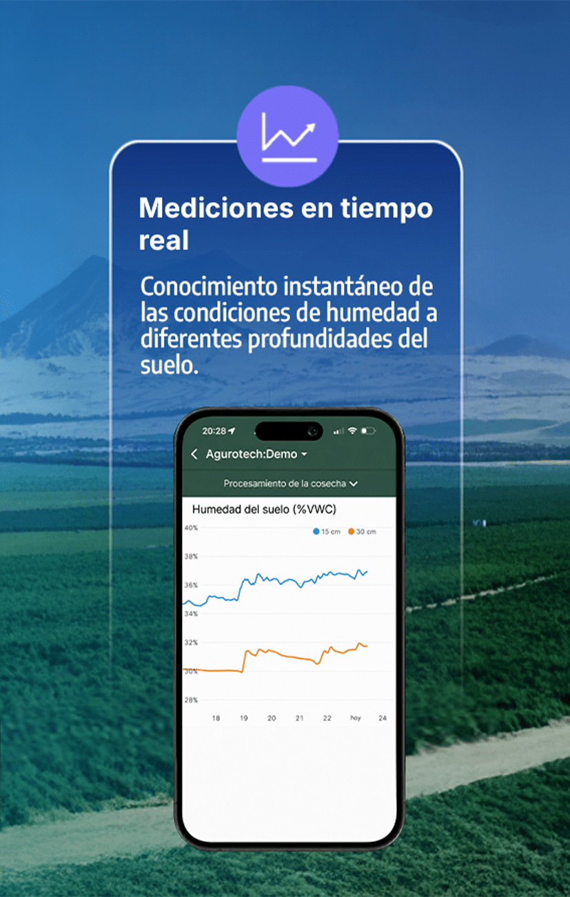 CARRUSEL WEB 4